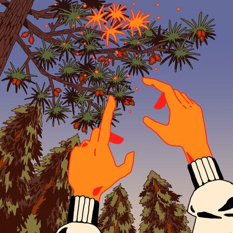 LEISURE SALAD album art