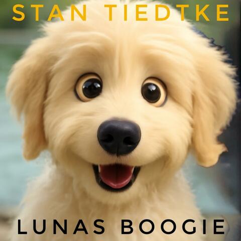 Lunas Boogie album art