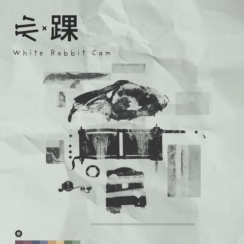 White Rabbit Cam album art