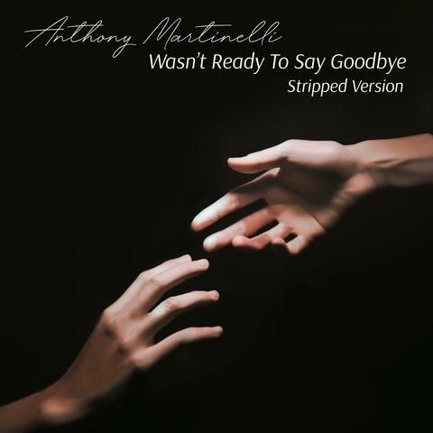 Wasn't Ready To Say Goodbye (Stripped) album art