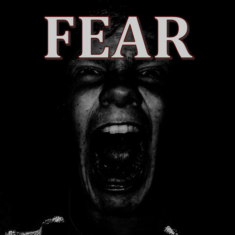 FEAR album art