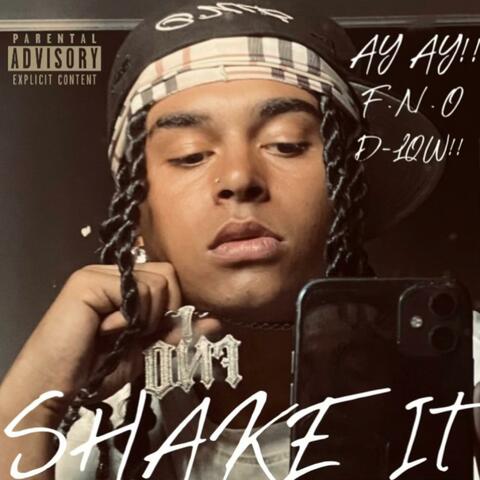 Shake It album art