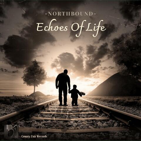 Echoes Of Life album art