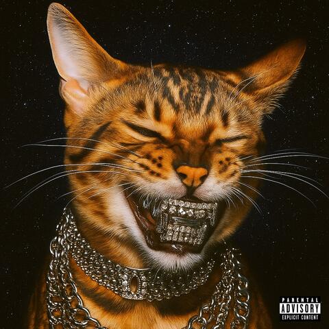 Rockstar Love album art