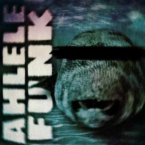 AHLELE FUNK album art