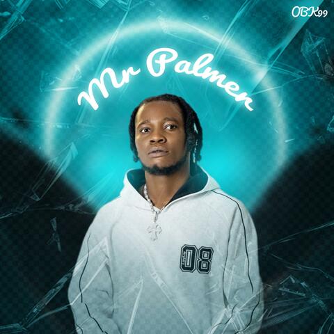 Mr Palmer album art