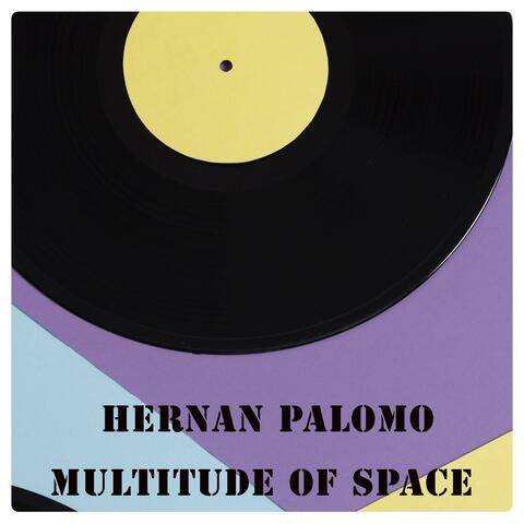 Multitude Of Space album art
