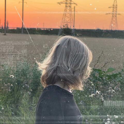 посвящение album art