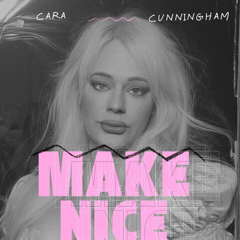Make Nice album art