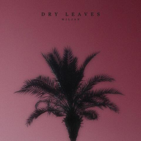 Dry Leaves album art