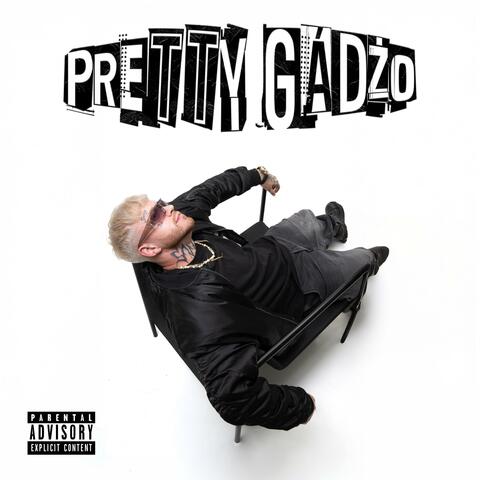 PRETTY GÁDŽO album art