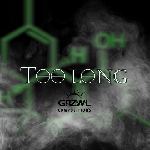 Too Long album art