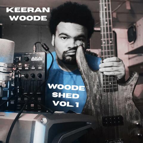 Woode Shed, Vol. 1 album art