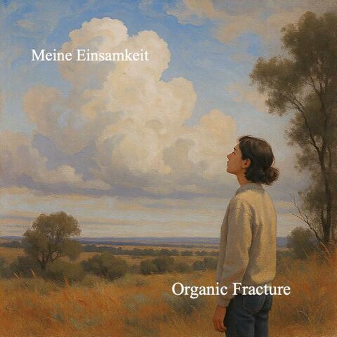 Meine Einsamkeit album art