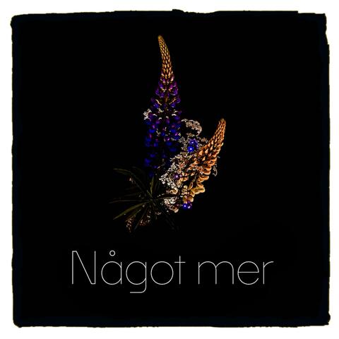 Något mer album art