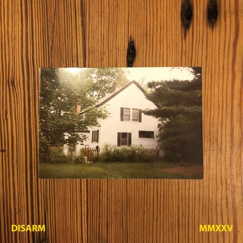 Disarm (MMXXV) album art