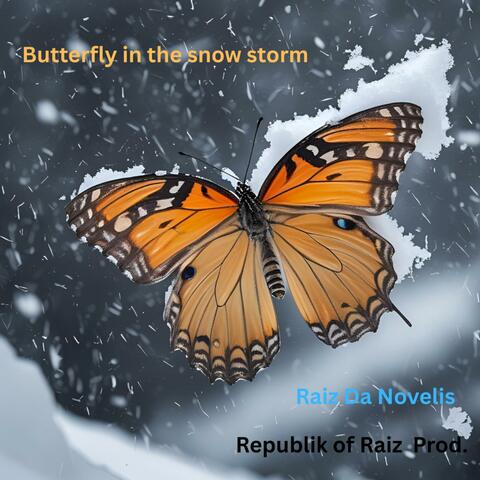 Butterfly in a snowstorm album art