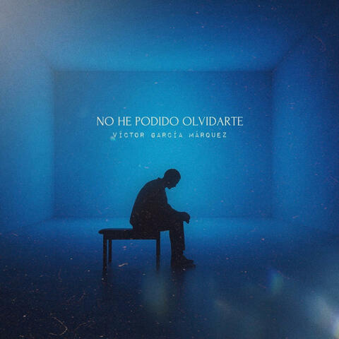 No He Podido Olvidarte album art