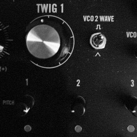 TWIG-1 album art