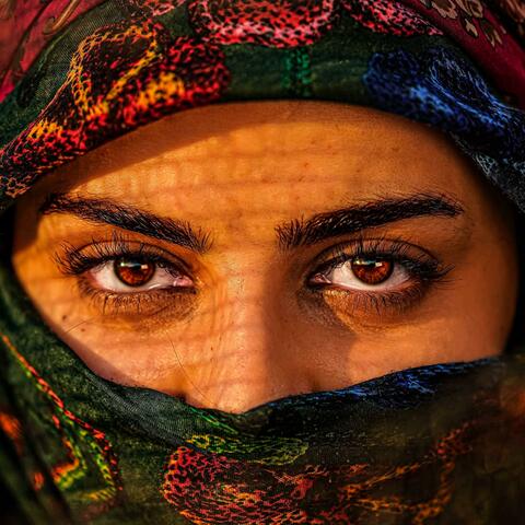 DITIRSIM BIMRIM (DILO HEYRAN) album art