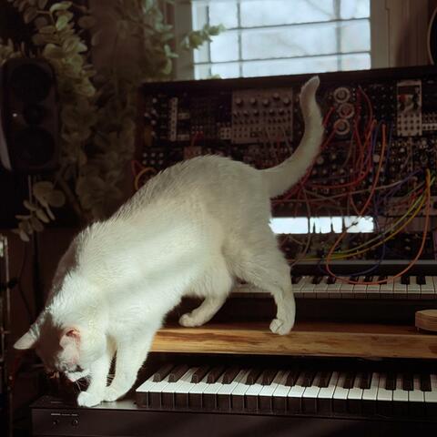 Stick Whack Boom Yes album art