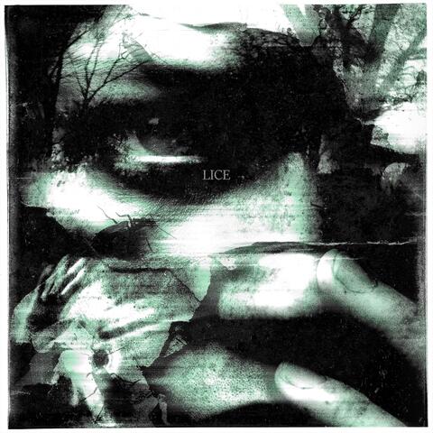 LICE album art