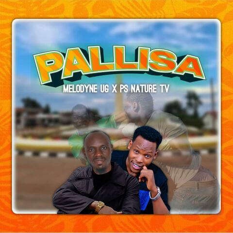 Pallisa (feat. Ps Nature TV) album art