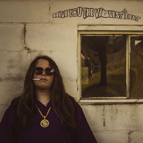 Have You The Vaguest Idea? album art