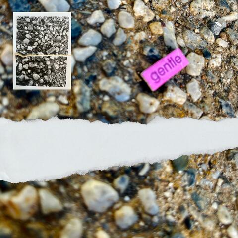 accidental album album art
