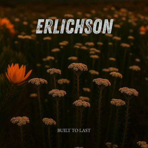 Built To Last album art