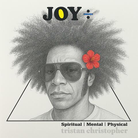 JOY DIVIDED by Death album art