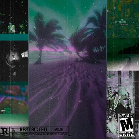 $lUT $EASON album art