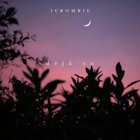 déjà vu album art