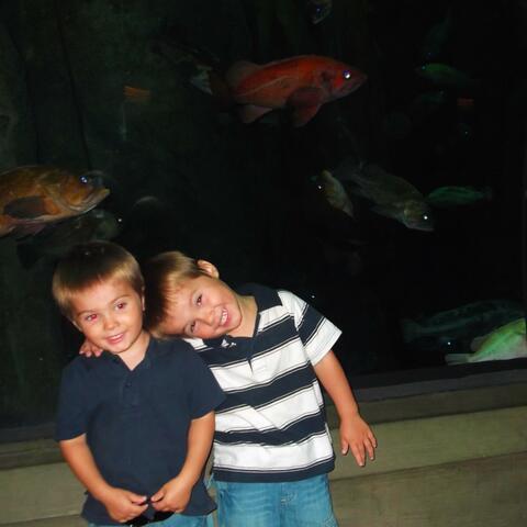 TRAVESTY CHOIR album art