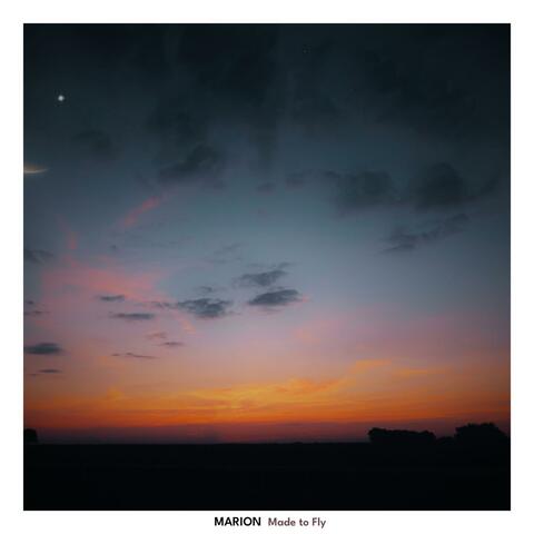 Made to Fly album art
