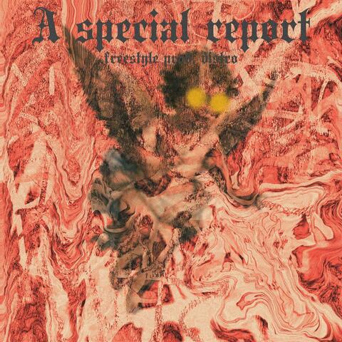A Special Report album art