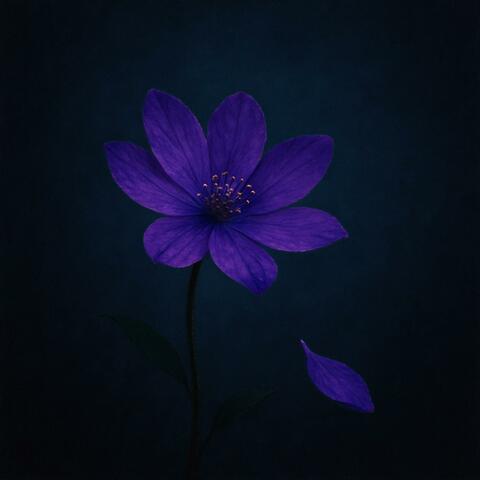 Walk on, Violet Flower album art