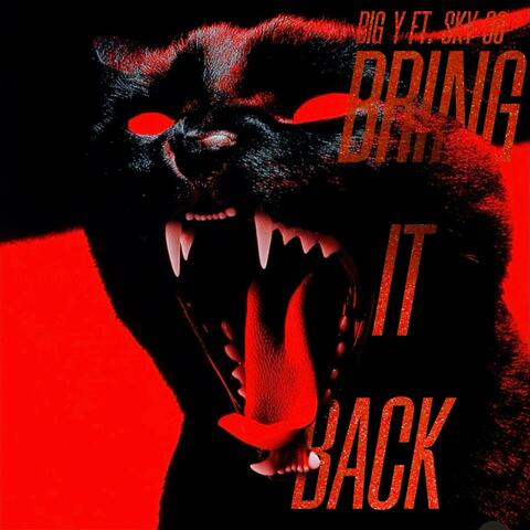 Bring It Back (feat. Sky 38) album art