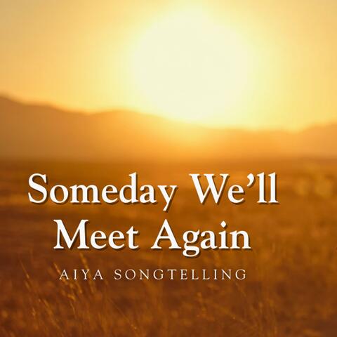 Someday we'll meet again album art