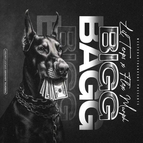Bigg Bagg (feat. Lil Terps) album art