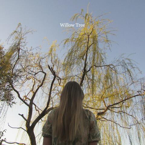 Willow Tree album art