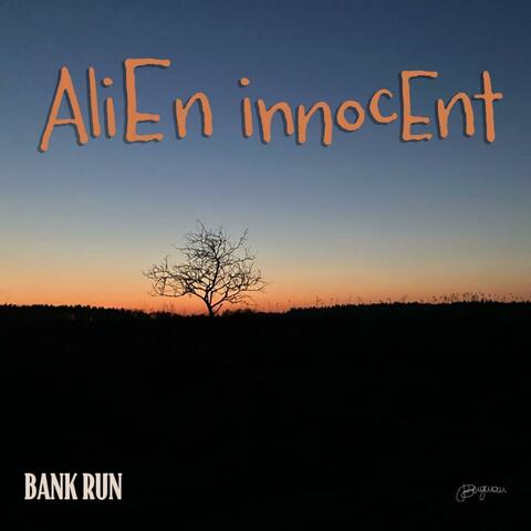 BankRun album art