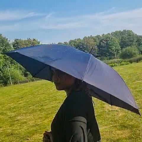 Rain album art