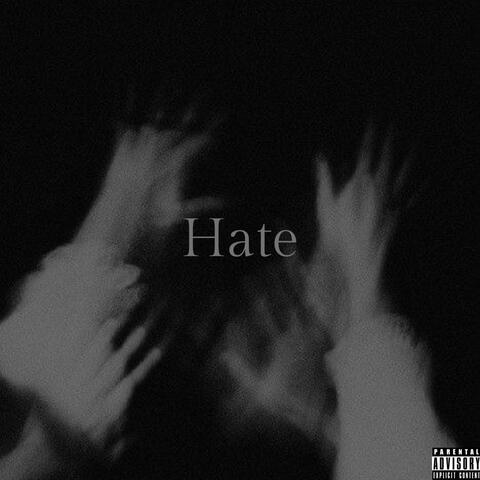 hate album art