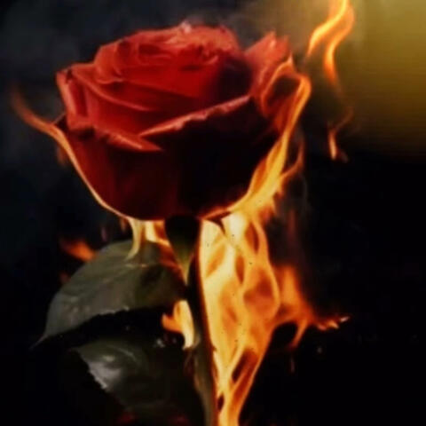 For The City album art