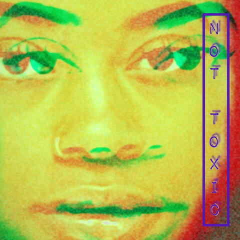 Not Toxic album art