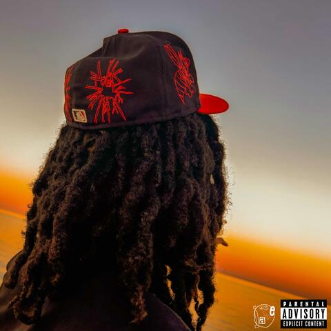 do not disturb album art