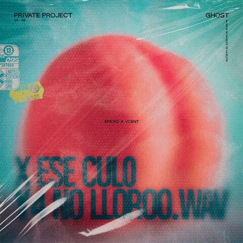 X ESE CUL0 Y4 NO LLOR00.wav (feat. Dj Vcent) album art