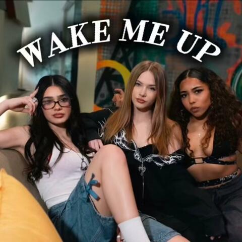 Wake Me Up album art