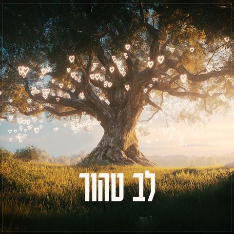 Lev Tahor album art